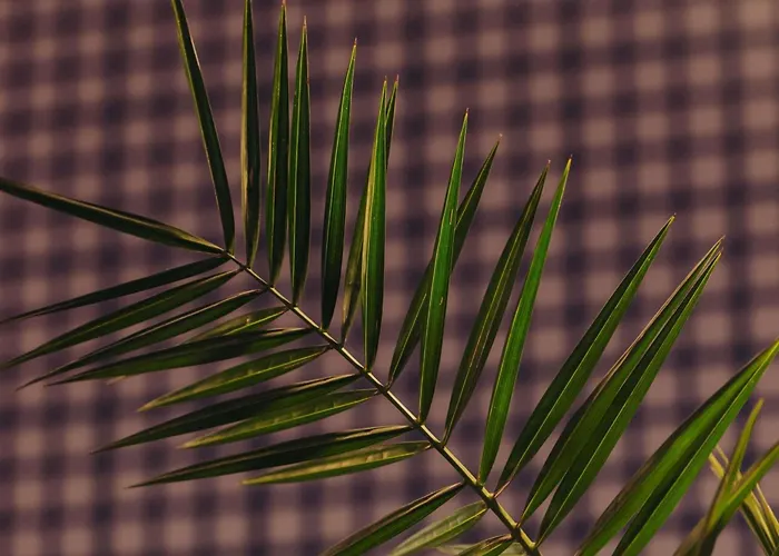 Ibis MariahilfHotel Wien